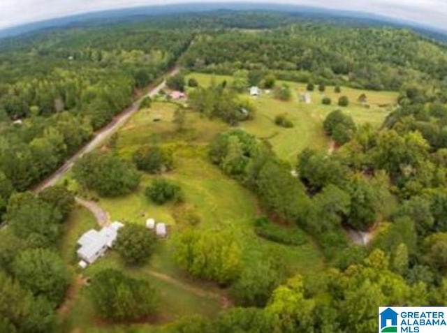 Listing photo 3 for 00 County Road 99 Unit 0, Gaylesville AL 35973