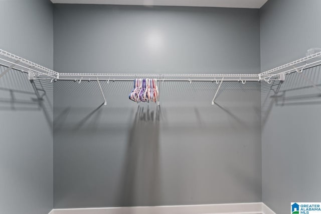 view of spacious closet