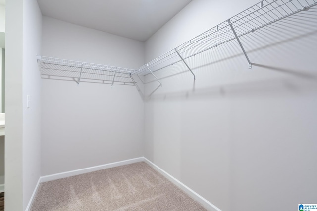 spacious closet with carpet floors