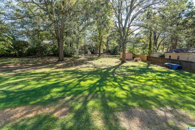 view of yard with a storage shed