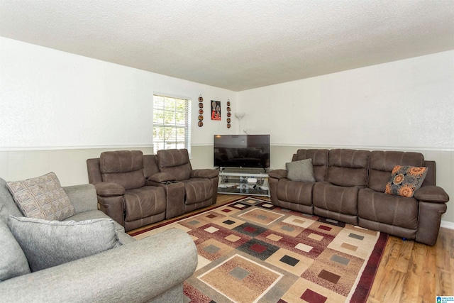 living room featuring a textured ceiling and wood-type flooring