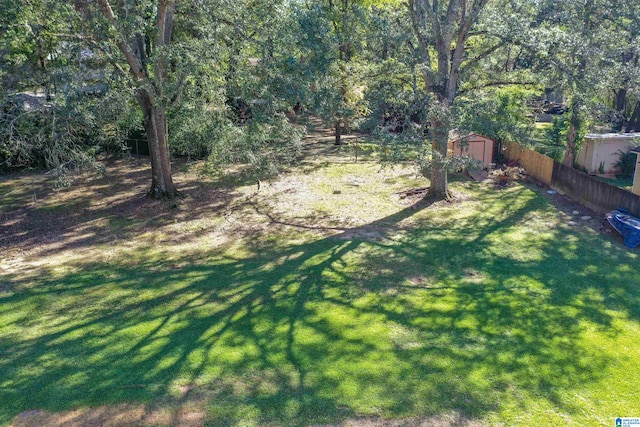 view of yard featuring a storage shed