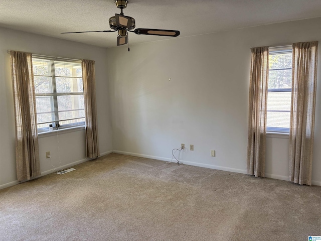 unfurnished room featuring a wealth of natural light, light colored carpet, and a textured ceiling