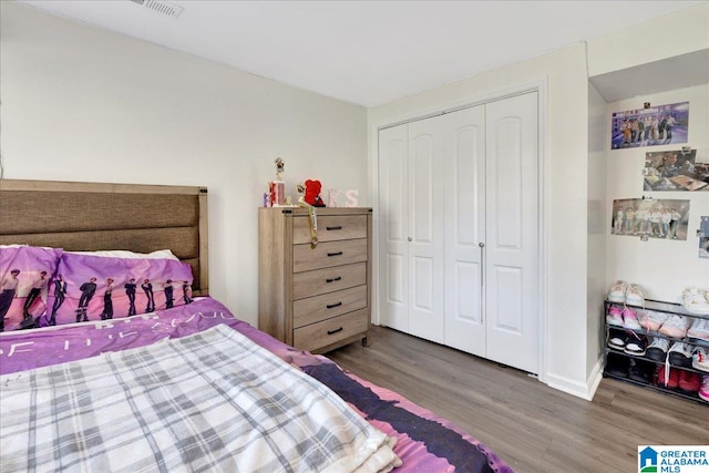 bedroom with a closet and wood-type flooring