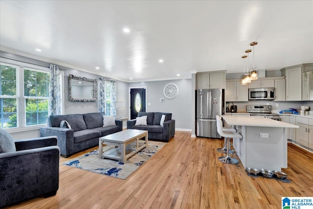 living room featuring light hardwood / wood-style floors and ornamental molding