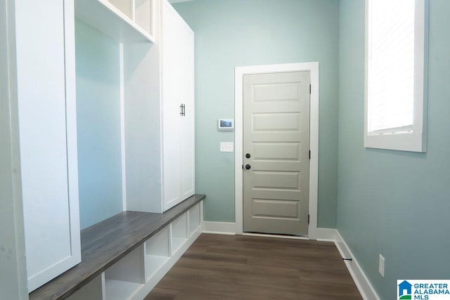 mudroom with dark hardwood / wood-style floors