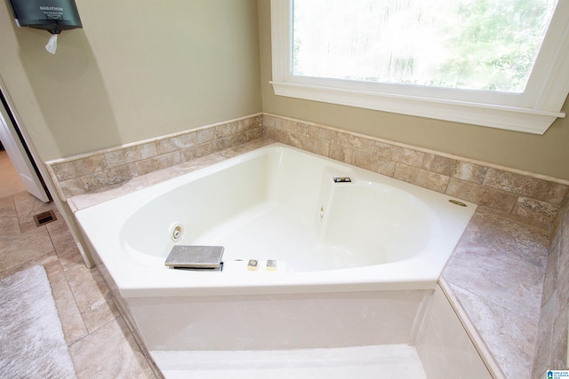 bathroom with a healthy amount of sunlight and a washtub