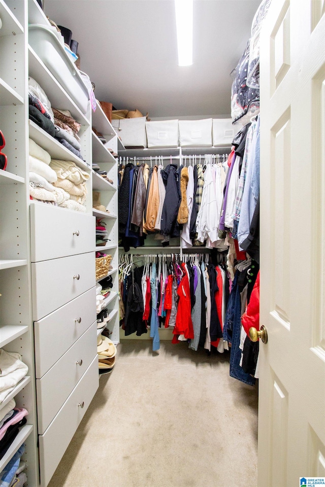 walk in closet featuring light colored carpet