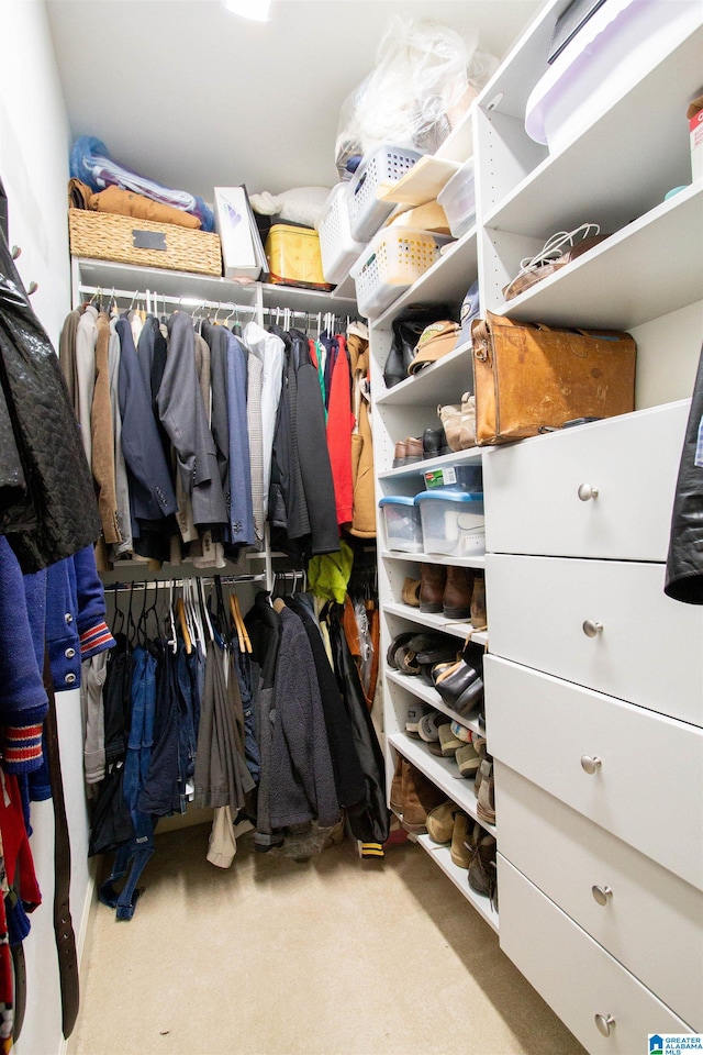 walk in closet featuring carpet floors