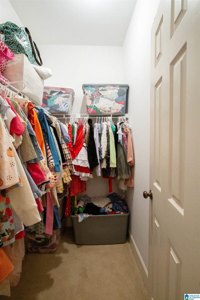 walk in closet featuring carpet floors