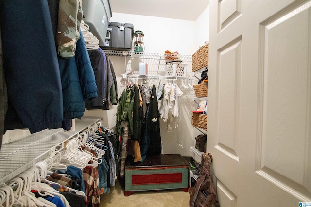 spacious closet with carpet flooring