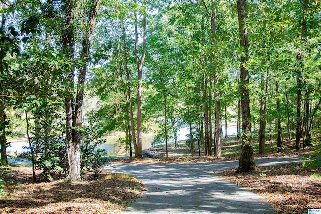 view of road