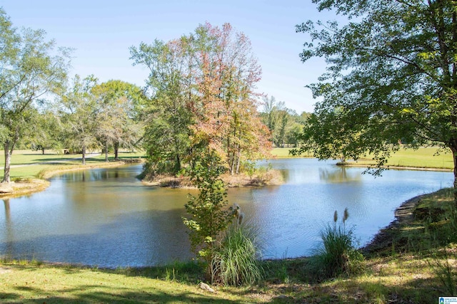 property view of water