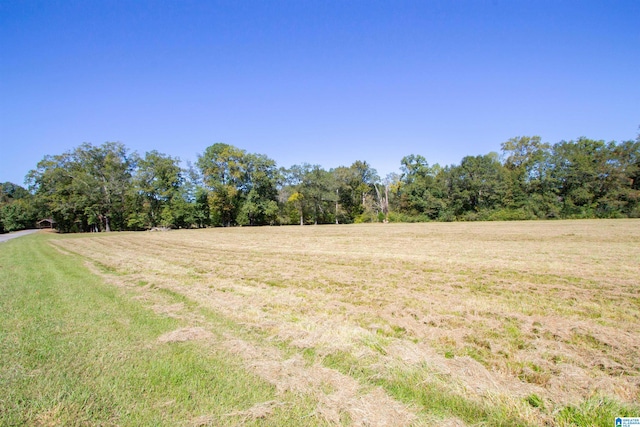 view of yard with a rural view