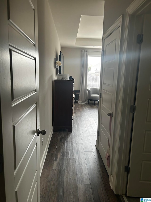 corridor featuring dark hardwood / wood-style flooring