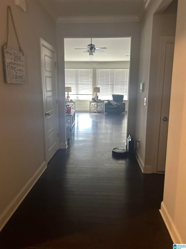 corridor featuring ornamental molding and dark hardwood / wood-style floors