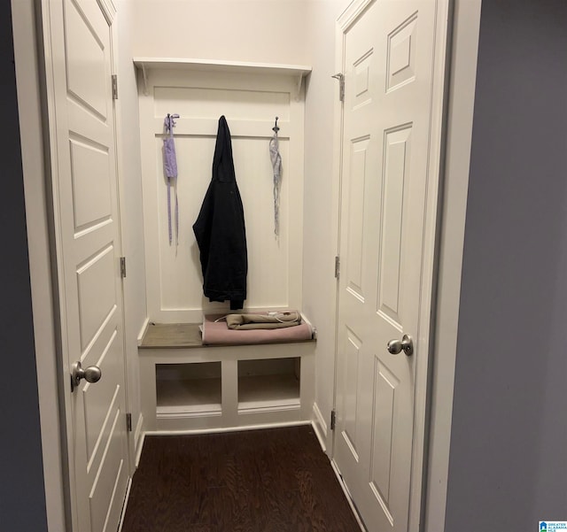 mudroom featuring dark wood-type flooring