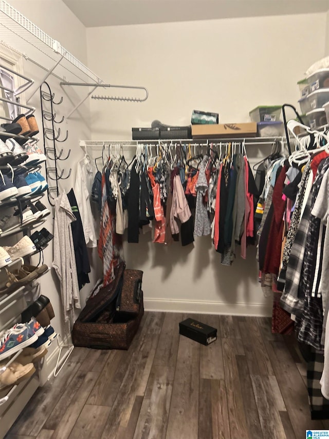 spacious closet featuring hardwood / wood-style flooring