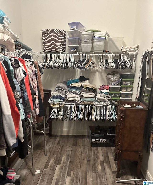 walk in closet with hardwood / wood-style flooring