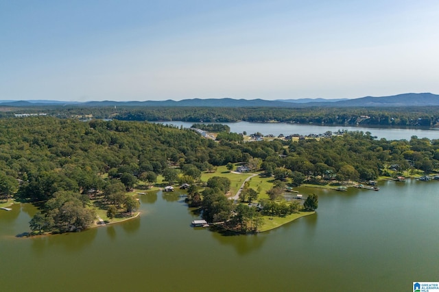 drone / aerial view with a water and mountain view