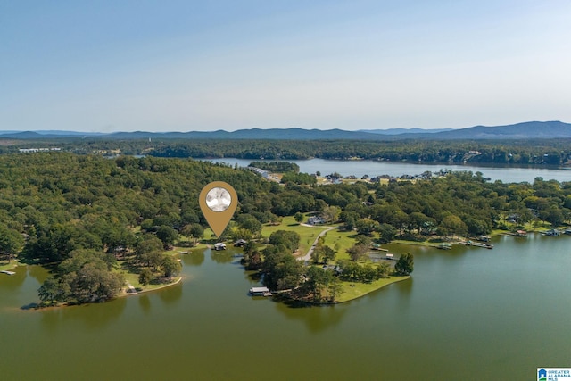 drone / aerial view featuring a water and mountain view