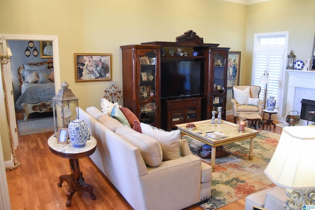 living room featuring wood-type flooring and ornamental molding