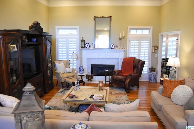 living room with a wealth of natural light, a fireplace, and light hardwood / wood-style floors