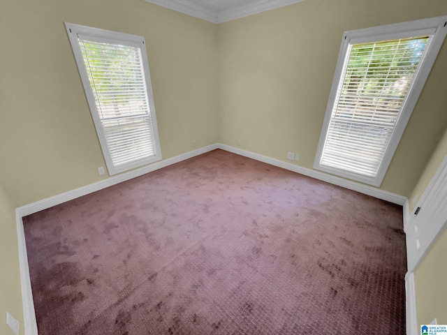 spare room with ornamental molding and light colored carpet