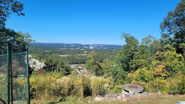 211 Morning Sun Dr Unit 211, Birmingham, AL 35242 - view of mountain background featuring a heavily wooded area