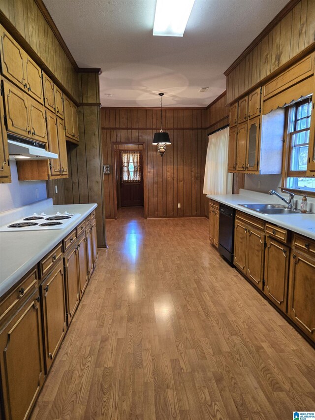 kitchen featuring black dishwasher, a sink, wooden walls, light countertops, and light wood-style floors