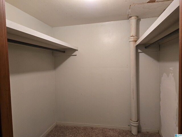 walk in closet featuring carpet