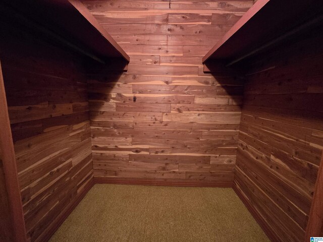 walk in closet with carpet