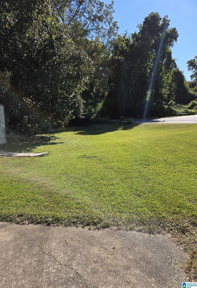 view of grassy yard