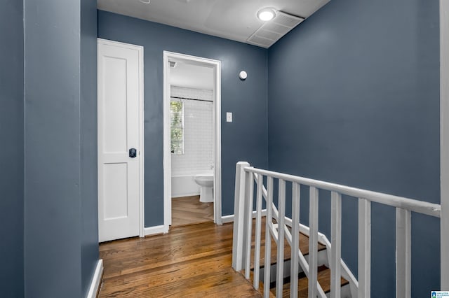 hall featuring dark hardwood / wood-style floors