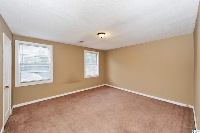 empty room with carpet, a textured ceiling, and plenty of natural light