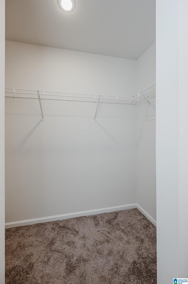 spacious closet with carpet