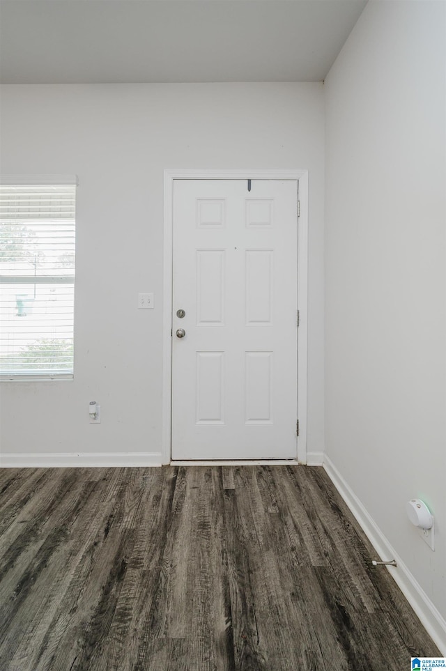 entrance foyer featuring dark hardwood / wood-style flooring