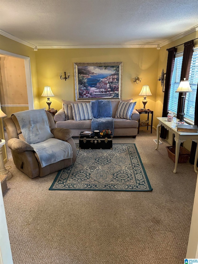 living room with crown molding, a textured ceiling, and carpet flooring