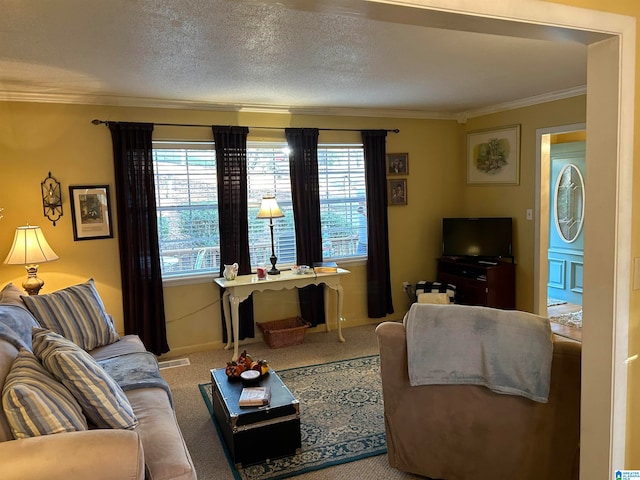 carpeted living room with crown molding and a textured ceiling