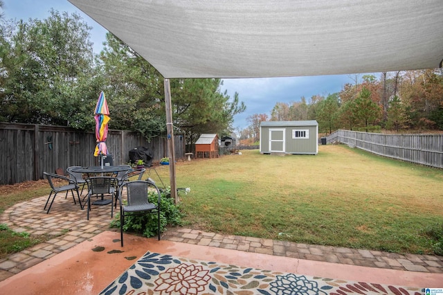 view of yard featuring a patio and a shed