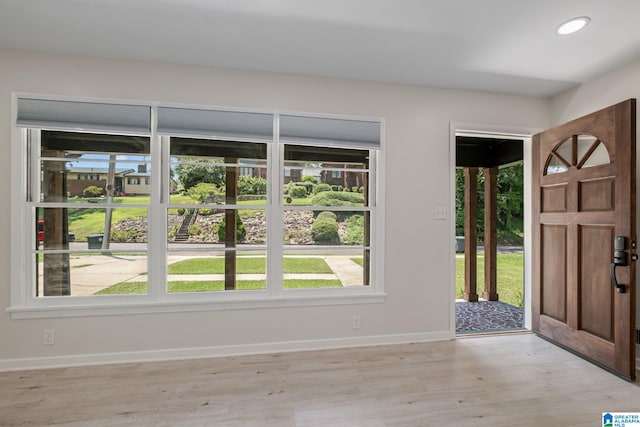 entryway with plenty of natural light and light wood-type flooring