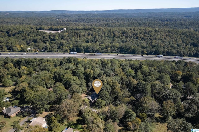 bird's eye view