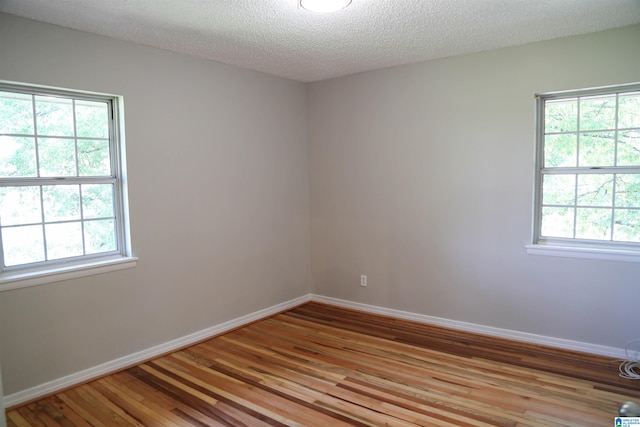 empty room featuring a healthy amount of sunlight, a textured ceiling, and light wood-type flooring