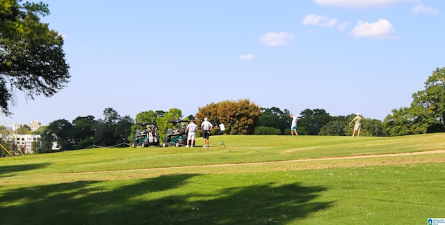 view of community featuring a lawn