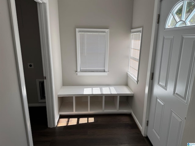 mudroom with dark wood-type flooring