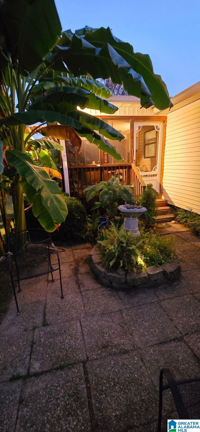 view of yard featuring a patio area