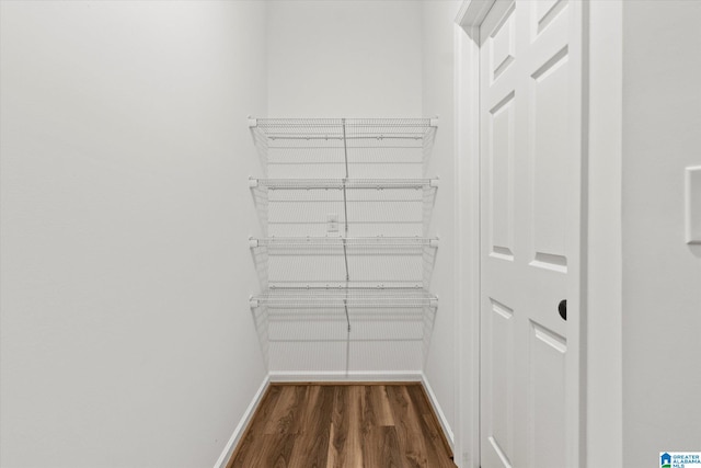 spacious closet with dark wood-type flooring