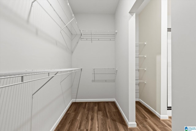 walk in closet with wood-type flooring