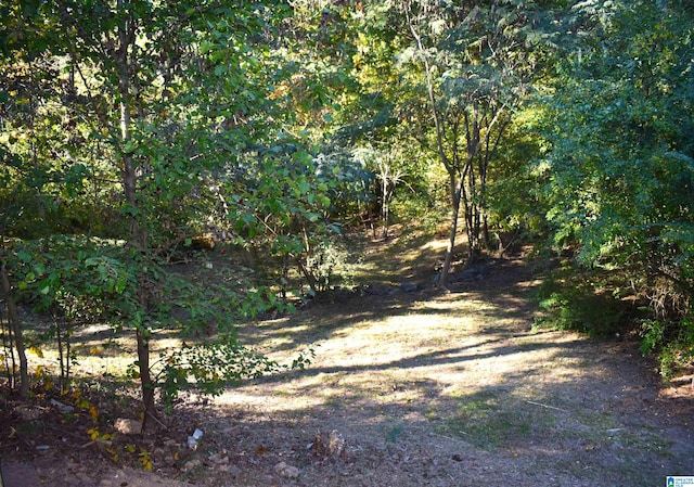 view of landscape