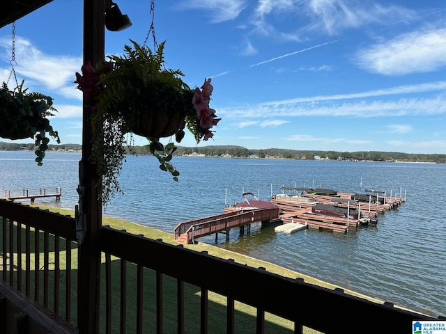 dock area with a water view